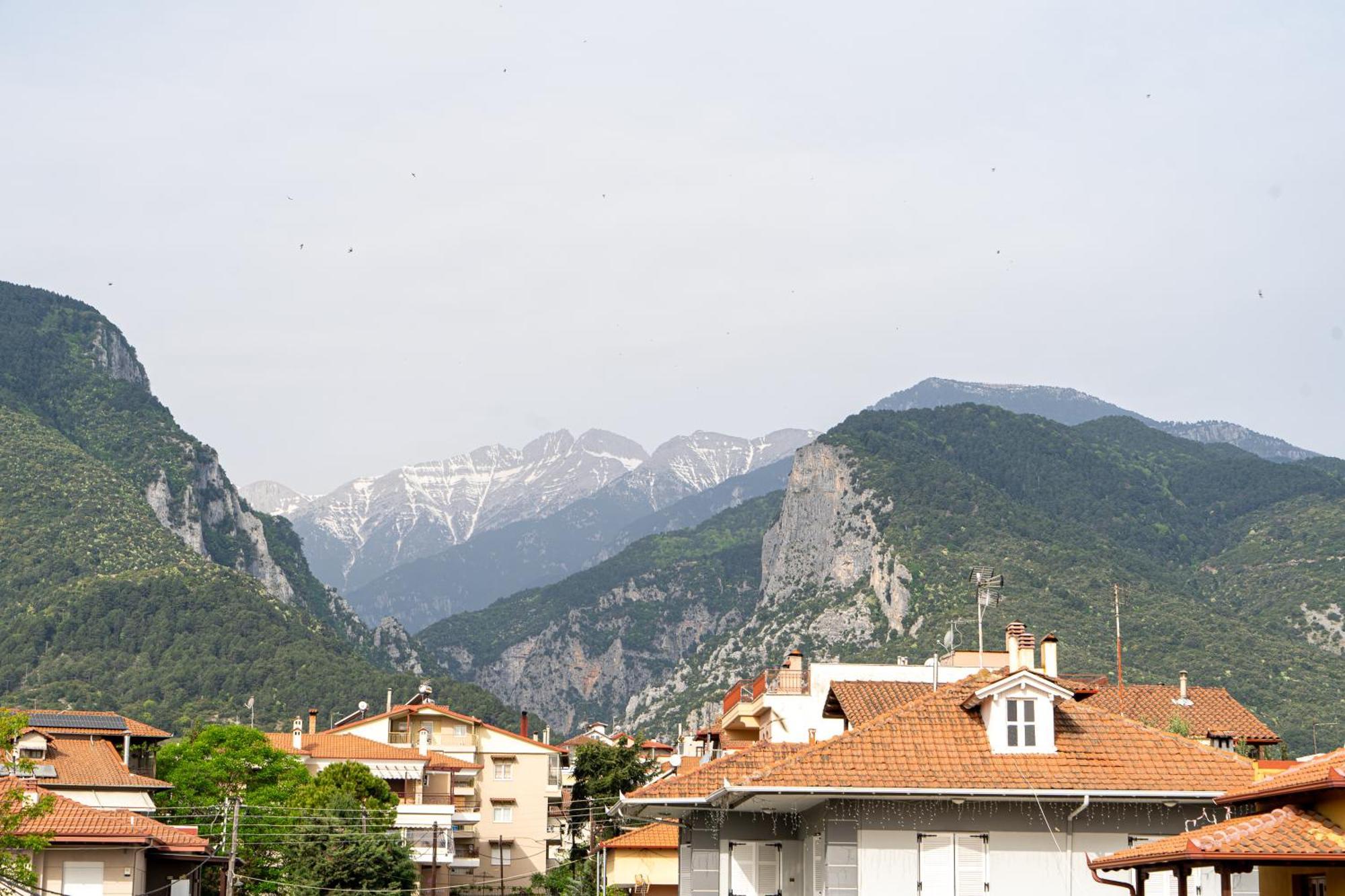 Ophelia - New Modern Apartment With Spectacular Olympus View Litochoro Extérieur photo